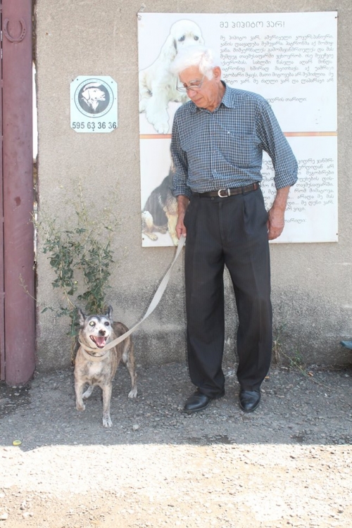 მეტისი საბო