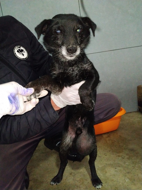 მეტისი ღრმაღელის ქუჩაზე არის მიკედლებული