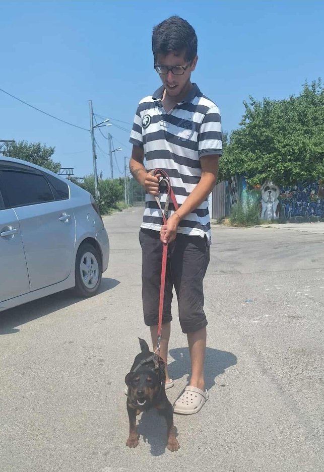 იაგდ ტერიერი. სიონი