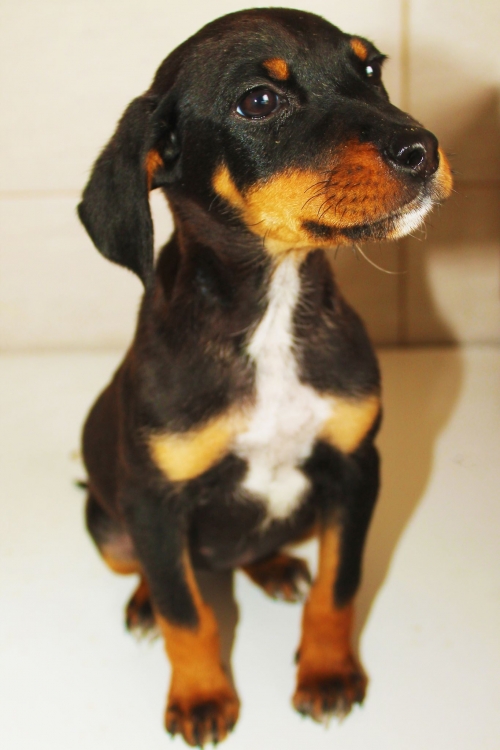 მეტისი უსახელო