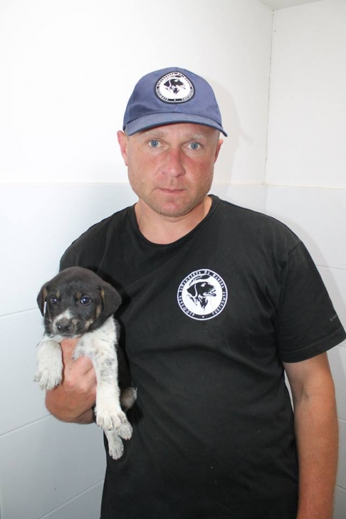 მეტისი უსახელო