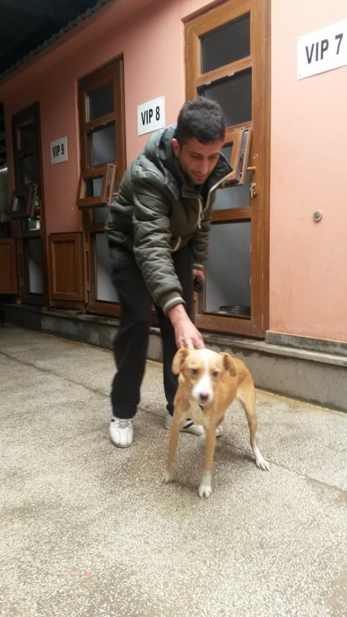 მეტისი უსახელო