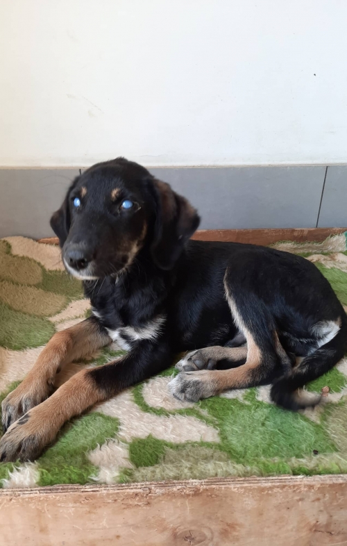 მეტისი სადგურის მოედანი