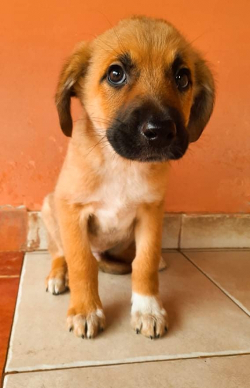 მეტისი ვარკეთილის მე 3 მიკრორაიონი