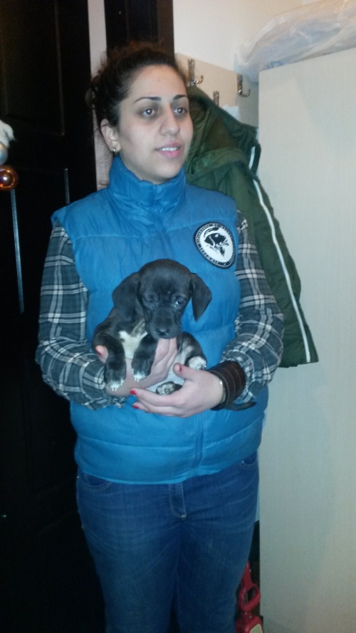 ლაბრადორი უსახელო