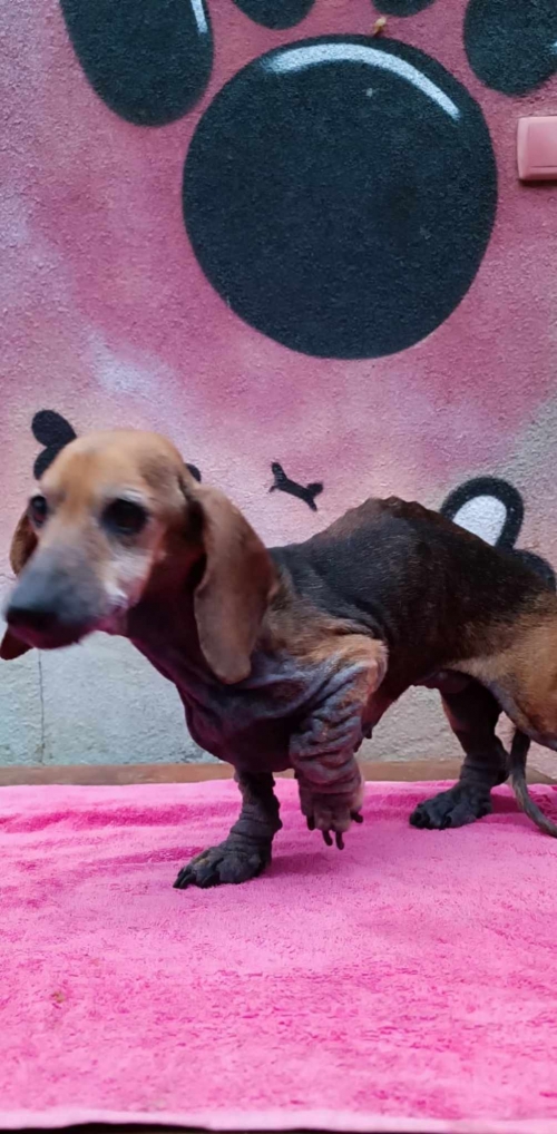 ტაქსა რუსთაველი