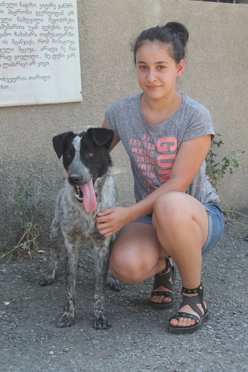 მეტისი უგო