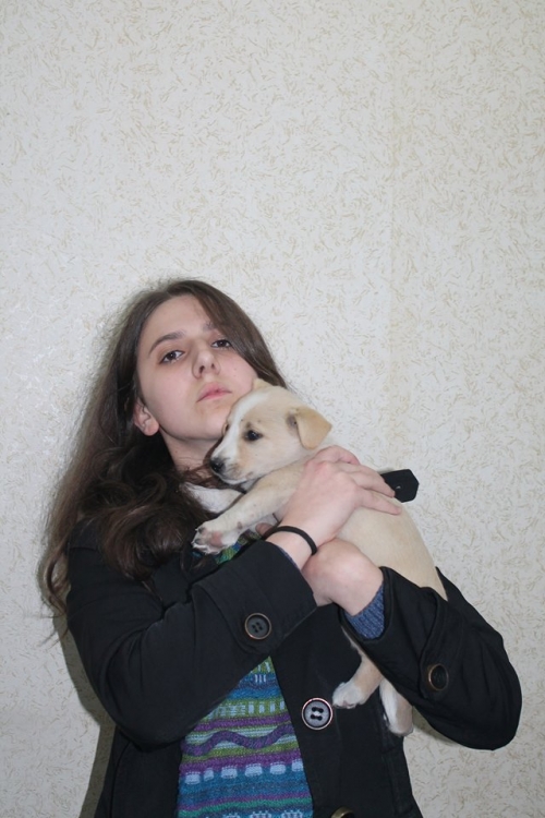 მეტისი უსახელო