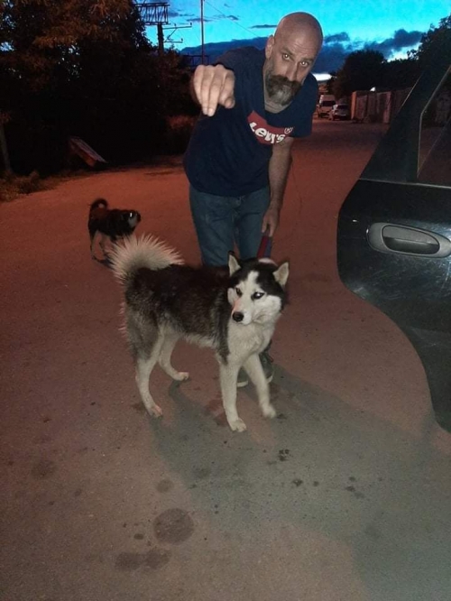 ლაიკა თბ. ზღვა