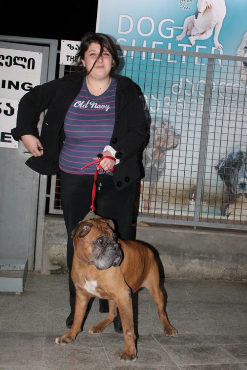 ბოქსიორი უსახელო