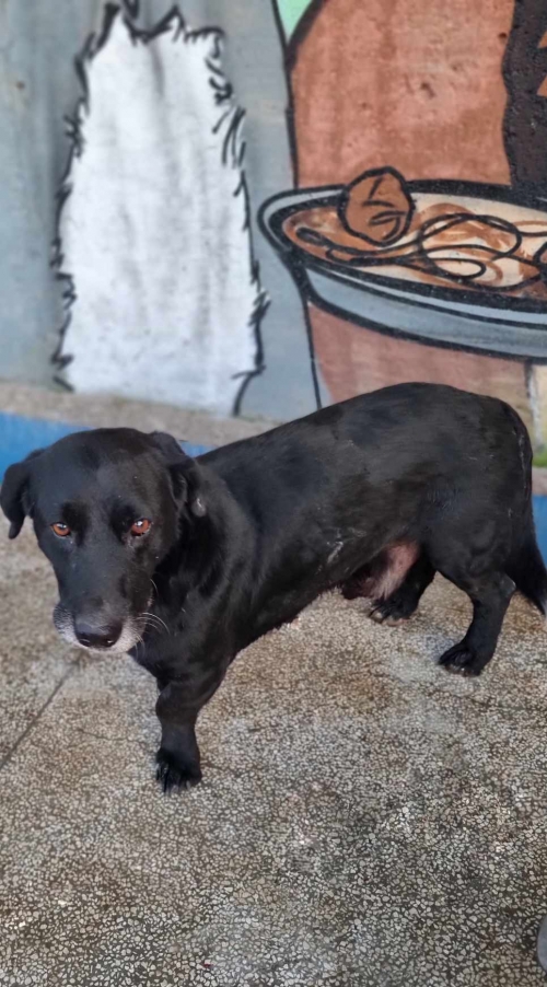 მეტისი თემქა მე 3 მკ. შემოსავლების სამსახურთან მიკედლებული