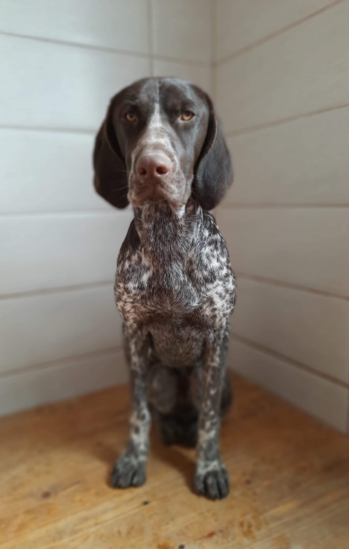 კურცხაარი ენუქიძეს ქუჩა