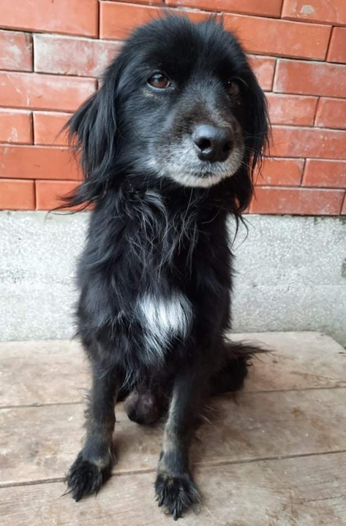 მეტისი ღუდუშაურის კლინიკა