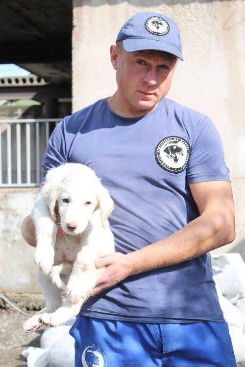 მეტისი უსახელო