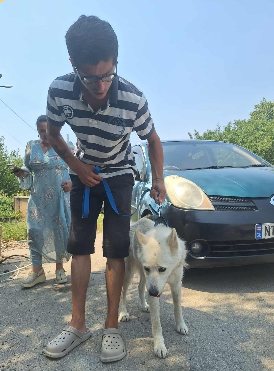 მეტისი. ჭიათურა