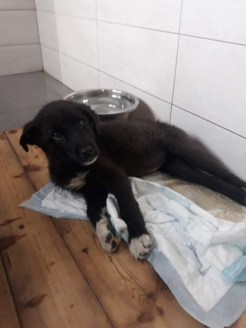 მეტისი ქაეროს მე 4 ქუჩა