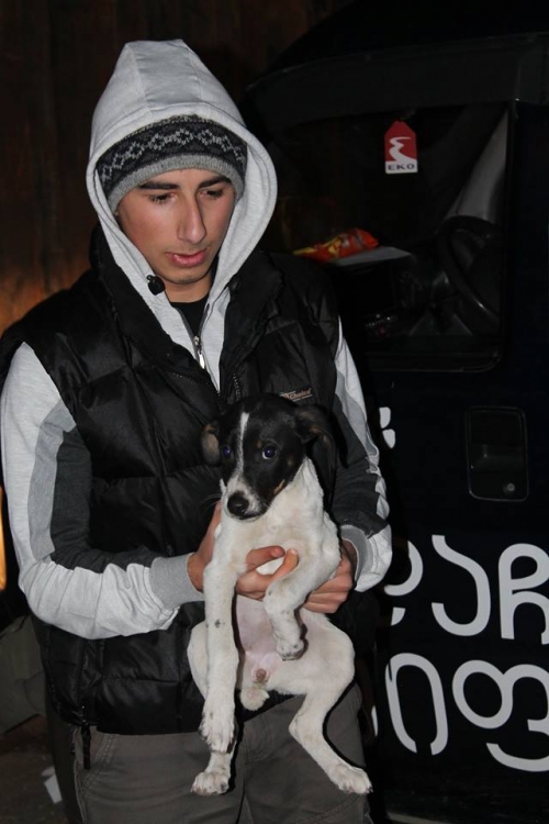 მეტისი უსახელო