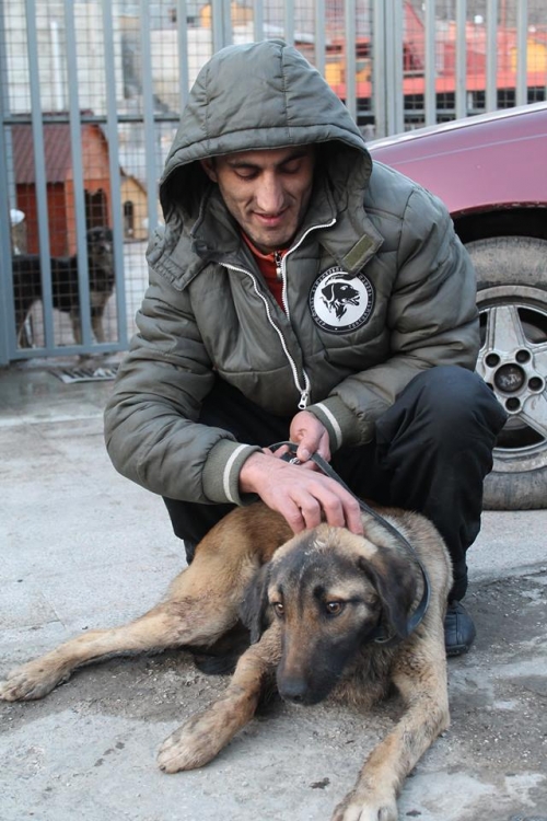 მეტისი უსახელო