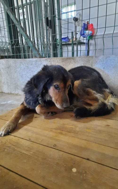 მეტისი ეთუნა კაპანაძე