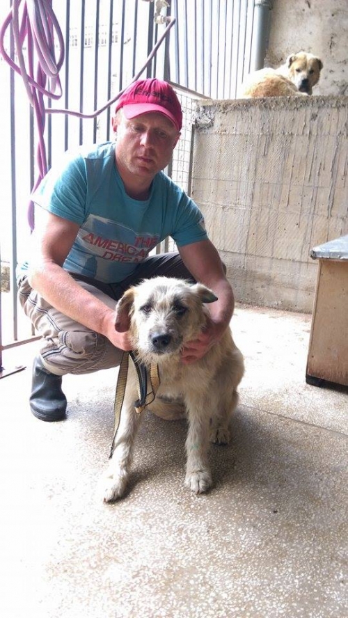 ბალონკის მეტისი უსახელო